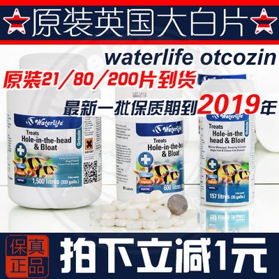 大白片的用法和用量1米2的鱼缸：关于大白片的用法和用量的一些详细信息 鱼缸百科 第3张