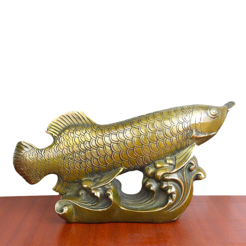 古铜金龙鱼：古铜金龙鱼是一种美丽的硬仆骨舌鱼也被称为亚洲龙鱼