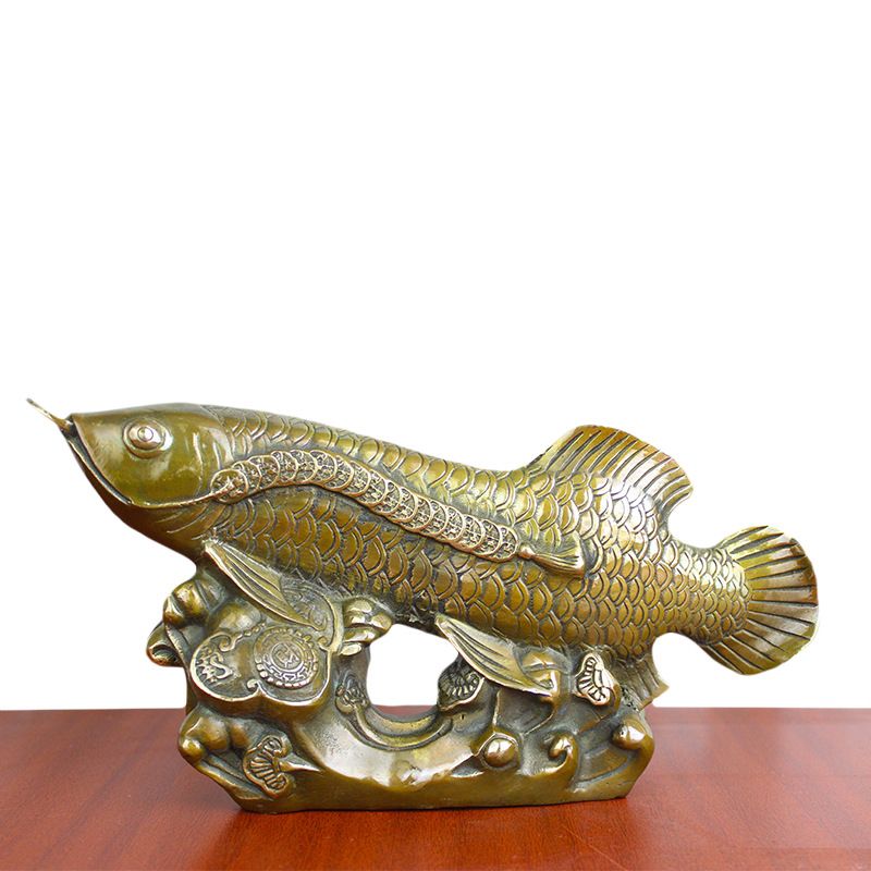 古铜金龙鱼：古铜金龙鱼是一种美丽的硬仆骨舌鱼也被称为亚洲龙鱼