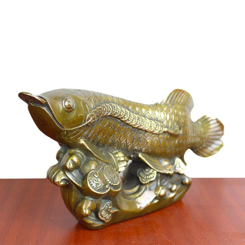古铜金龙鱼：古铜金龙鱼是一种美丽的硬仆骨舌鱼也被称为亚洲龙鱼 龙鱼百科 第3张