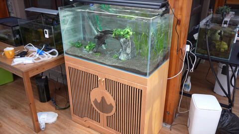 玻璃胶鱼缸能用多久：如何去除鱼缸玻璃胶 鱼缸 第1张