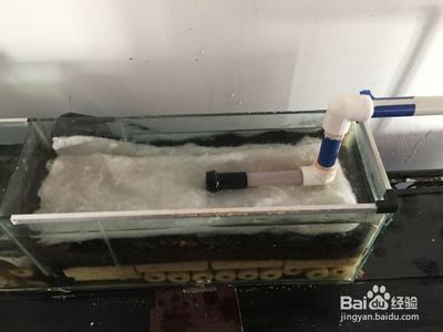 玻璃鱼缸过滤器怎么安装视频：关于玻璃鱼缸过滤器安装的一些指导和注意事项 鱼缸 第3张