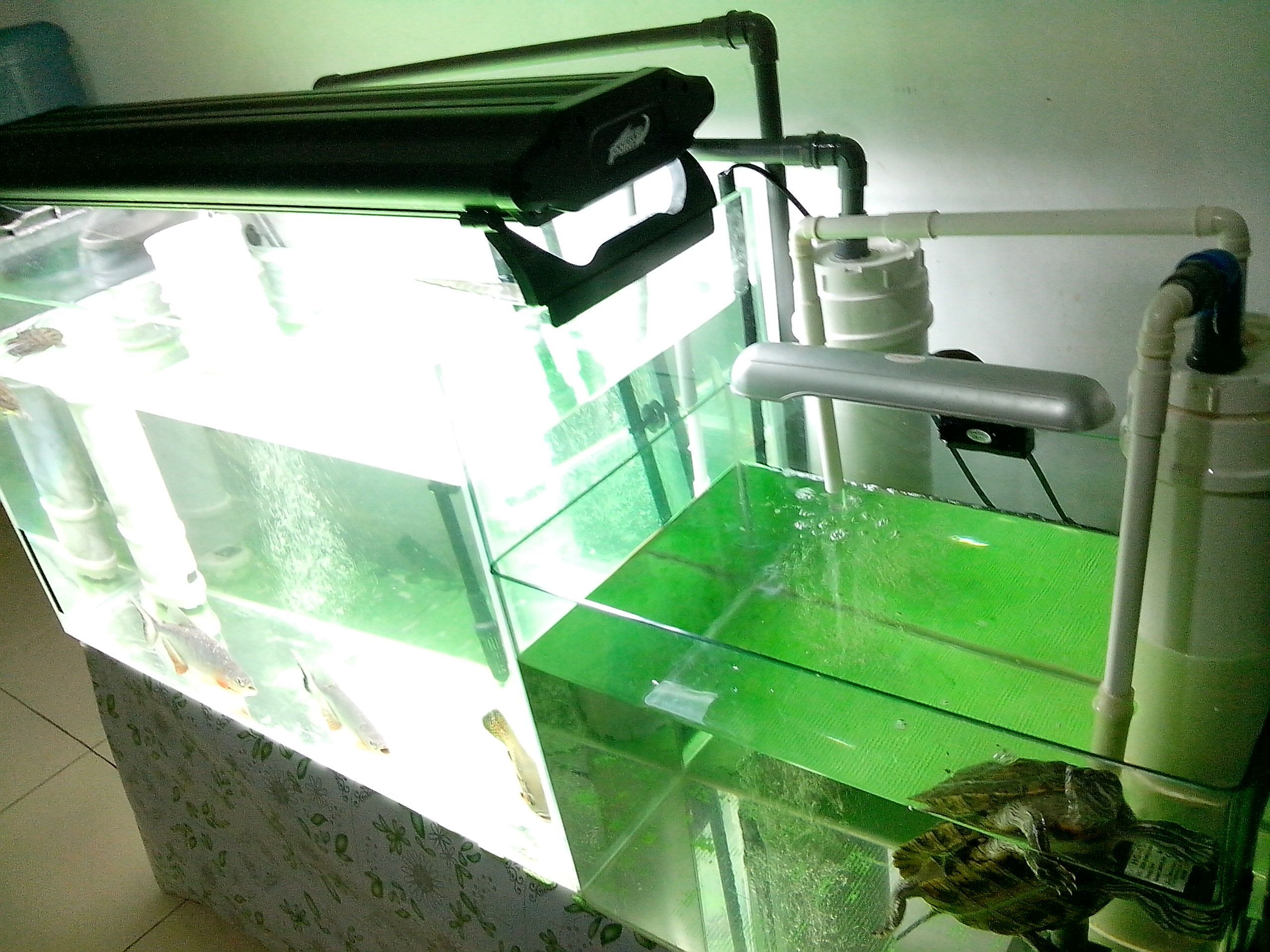玻璃鱼缸过滤器怎么安装视频：关于玻璃鱼缸过滤器安装的一些指导和注意事项 鱼缸 第2张