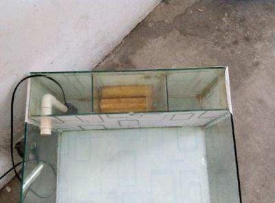 玻璃鱼缸漏水用什么胶粘好：玻璃鱼缸漏水怎么办？ 鱼缸 第3张