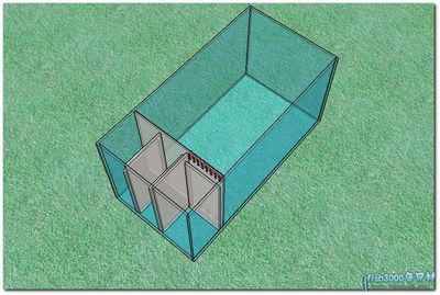 侧滤加上滤鱼缸设计图：侧滤加上滤鱼缸的设计原理和特点 鱼缸百科 第4张
