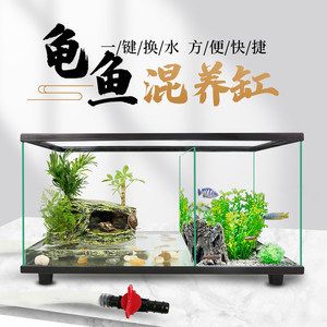 创意造景鱼缸：创意造景鱼缸是一种结合了艺术和科技的装饰品 鱼缸百科 第4张