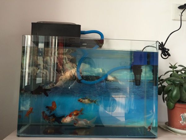 创海鱼缸怎么安装水泵：创海鱼缸水泵安装步骤 鱼缸 第2张