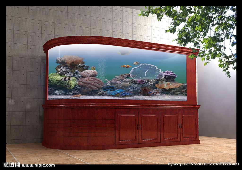 家庭鱼缸设计图：家庭鱼缸摆放位置、造景设计、造景设计、水质管理和日常维护 鱼缸风水 第2张