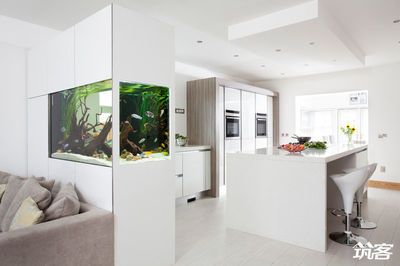 家庭鱼缸设计图：家庭鱼缸摆放位置、造景设计、造景设计、水质管理和日常维护