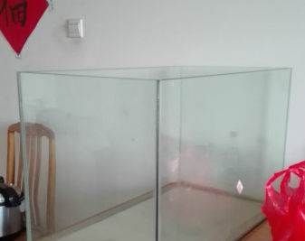 玻璃店鱼缸多少钱：玻璃店鱼缸价格一般多少？ 鱼缸 第1张