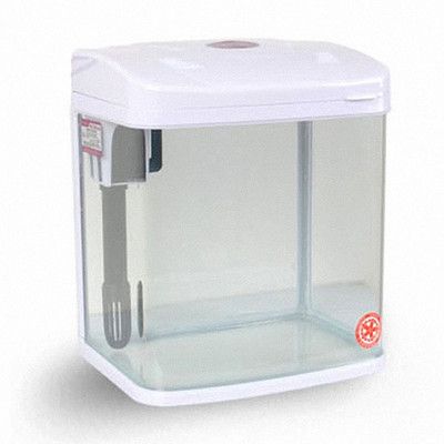 玻璃鱼缸过滤器什么做的好用：如何选择合适的鱼缸过滤器 鱼缸 第2张