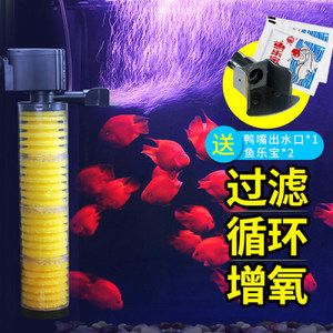 大型养鱼缸的滤水器有哪些？：自制过滤器的优缺点 鱼缸百科 第3张