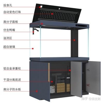 家庭用水族鱼缸怎么选用的：家庭用水族鱼缸选购指南