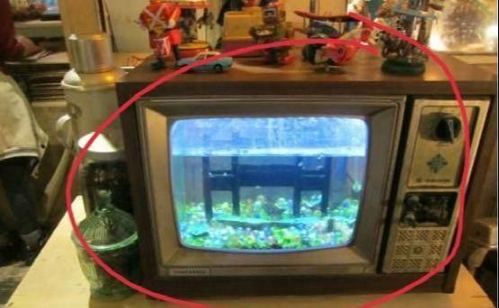 家里鱼缸坏了有什么说法吗：家里鱼缸坏了会带来财运和吉祥寓意 鱼缸风水 第1张