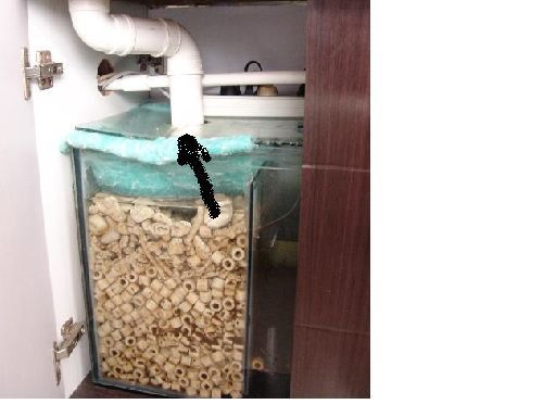 家用鱼缸噪音怎么减轻：如何减轻家用鱼缸的噪音？ 鱼缸风水 第3张