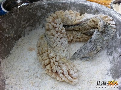 飞龙鱼的照片真实：飞龙鱼照片真实吗？