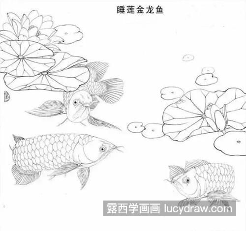 金龙鱼怎样画好看又简单：画金龙鱼的方法有很多种，从简单的工笔画到复杂的工笔画 龙鱼百科 第3张