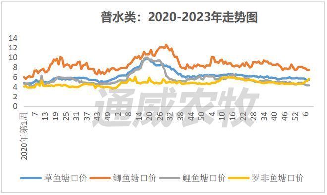 黄尾龙鱼价格行情走势：黄尾龙鱼价格行情走势总结：黄尾龙鱼价格行情走势 龙鱼百科 第2张