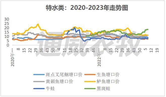 黄尾龙鱼价格行情走势：黄尾龙鱼价格行情走势总结：黄尾龙鱼价格行情走势 龙鱼百科 第3张