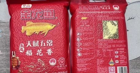 金龙鱼价格查询表：金龙鱼价格一般多少？ 龙鱼百科 第3张