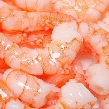 龙鱼吃的虾仁：龙鱼可以吃虾仁吗 龙鱼百科 第2张