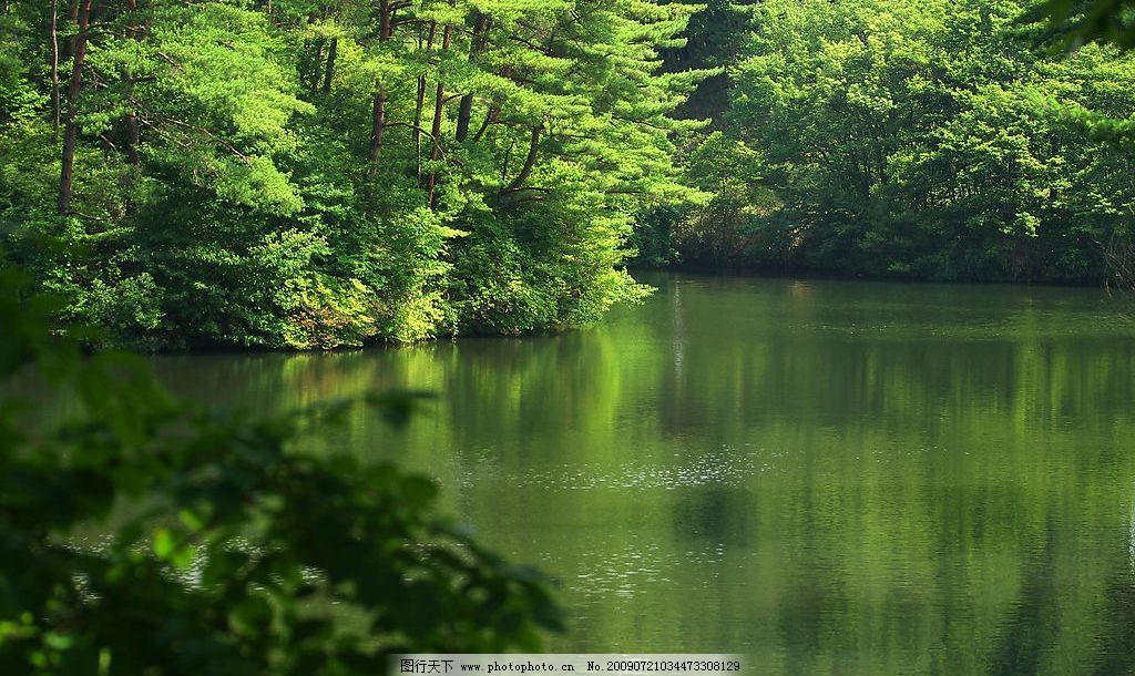 绿水对龙鱼影响有哪些方面：绿水对龙鱼的影响 龙鱼百科 第2张