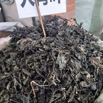 龙鱼最怕什么药材：哪些药材是龙鱼最怕的 龙鱼百科 第1张