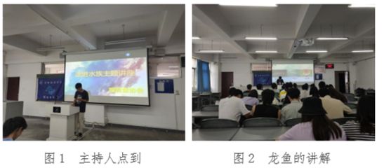 龙鱼常见品种饲养与现状研究报告怎么写：龙鱼常见品种饲养与现状研究报告