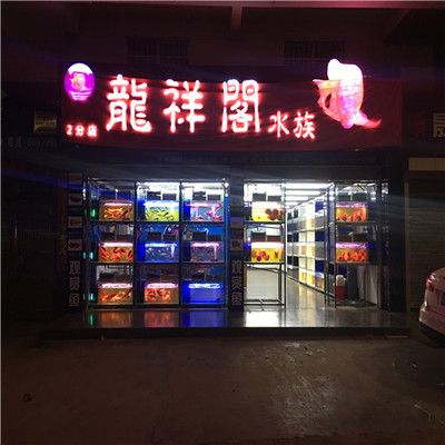 网上买龙鱼好还是实体店好：网上购买龙鱼和实体店购买各有优缺点各有优缺点 龙鱼百科 第3张