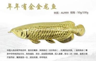 金龙鱼的寓意和象征：金龙鱼在中国文化和风水中有着深厚的寓意和象征意义