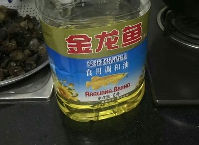 金龙鱼十几天没有进食：金龙鱼十几天没有进食可能有多种原因及其相应的解决方案 龙鱼百科