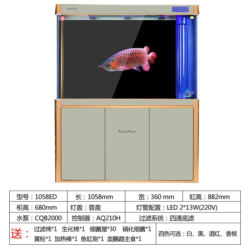 龙鱼过滤材料 多久更换一次好：龙鱼过滤材料多久换一次好 龙鱼百科 第3张