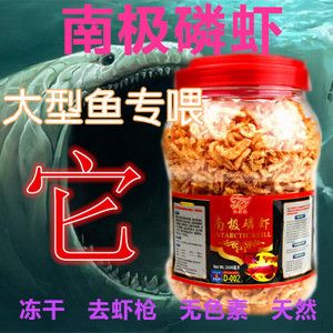 龙鱼喂饲料好还是鱼好：龙鱼喂饲料好还是活鱼好