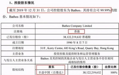 金龙鱼股东结构：金龙鱼主要股东是bathoscompanylimited，其他股份比例高达89.99% 龙鱼百科 第2张