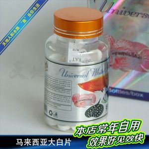 大白片治疗龙鱼外寄：大白片治疗龙鱼外寄生虫 龙鱼百科 第1张