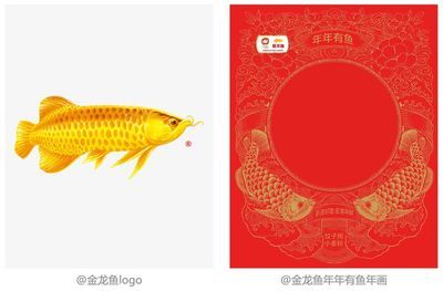 金龙鱼吉祥话是什么：金龙鱼吉祥话