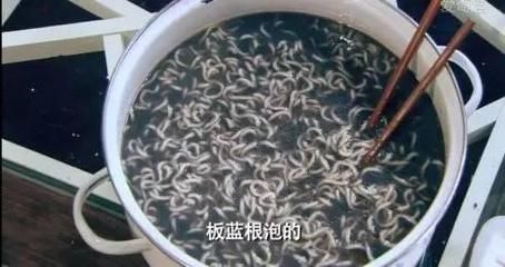 黑食鱼和龙鱼混养：黑食鱼与龙鱼混养的区别， 龙鱼百科 第2张