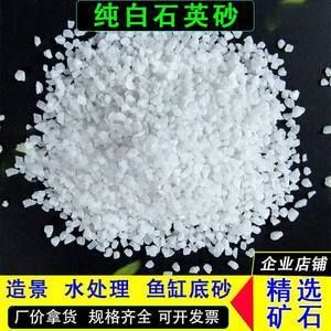 金龙鱼用什么颜色的底砂好：金龙鱼的底砂选择 龙鱼百科 第3张