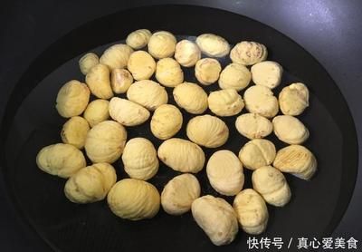 金龙鱼吃黄鳝吗好吗：金龙鱼可以吃黄鳝吗？ 龙鱼百科 第2张