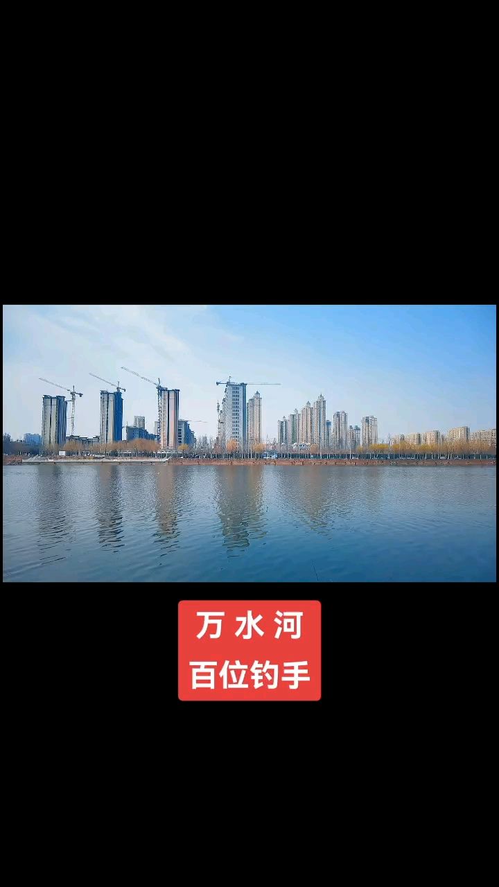 鱼：中国的城市之水最伟大，一团一营 观赏鱼论坛