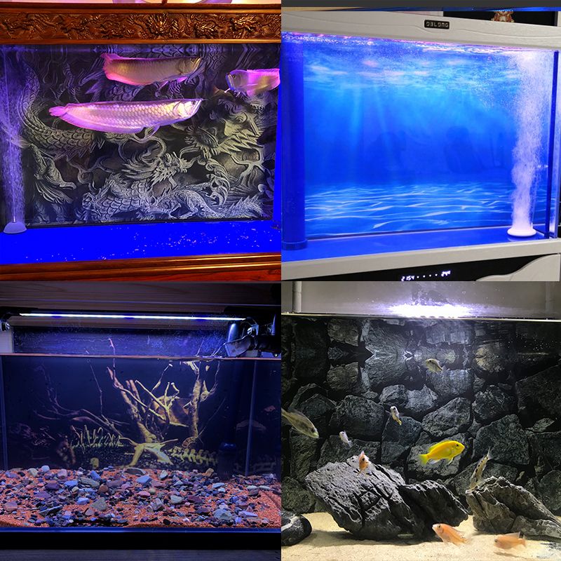 龙鱼鱼缸布景图：龙鱼鱼缸布景图图例：龙鱼鱼缸布景的方法和图例和图例