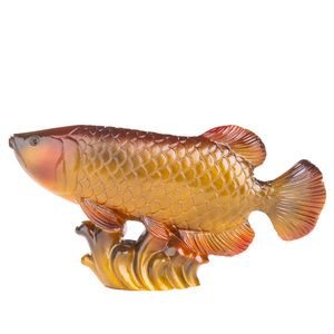金龙鱼养到什么时候开始变色：金龙鱼何时开始变色