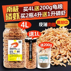 金龙鱼喂南极磷虾：龙鱼可以喂南极磷虾,磷虾是一种干虾， 龙鱼百科 第3张