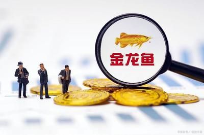 金龙鱼股权激励价格 21年：金龙鱼2021年股权激励价格21年