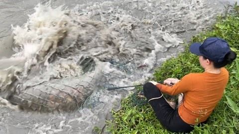 龙鱼浮在水面不动怎么回事：龙鱼浮在水面不动可能是由于水质问题、饮食问题引起的 龙鱼百科 第3张