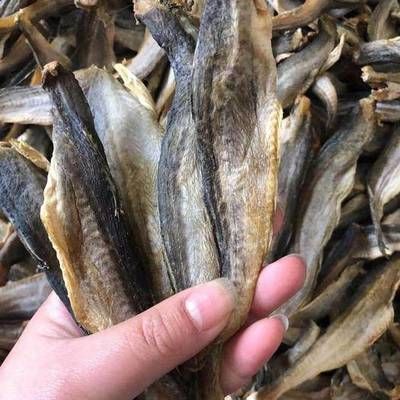 龙鱼喂鱼干：龙鱼可以喂食鱼干吗？