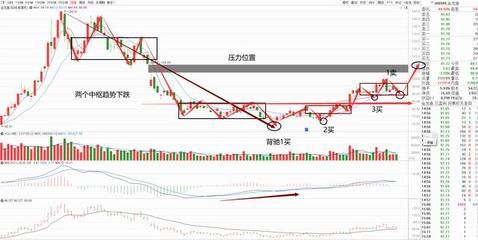 金龙鱼在哪买：金龙鱼产品可以通过官方网站和品牌旗舰店进行购买