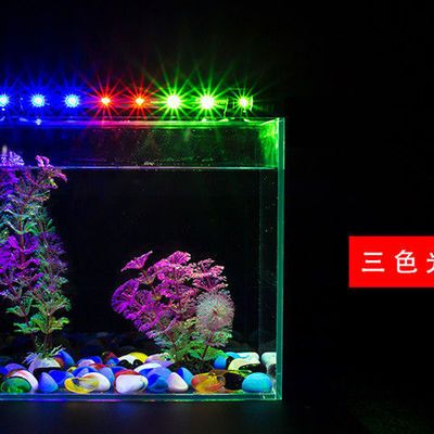 龙鱼缸的灯放什么位置最好：龙鱼缸灯光布局龙鱼缸灯光布局龙鱼缸灯光位置