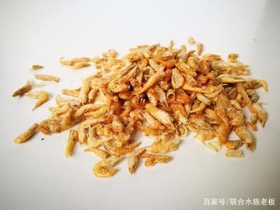 龙鱼吃了不新鲜的虾会死吗：龙鱼吃了不新鲜的虾会死吗龙鱼吃了不新鲜的虾会死吗 龙鱼百科 第3张