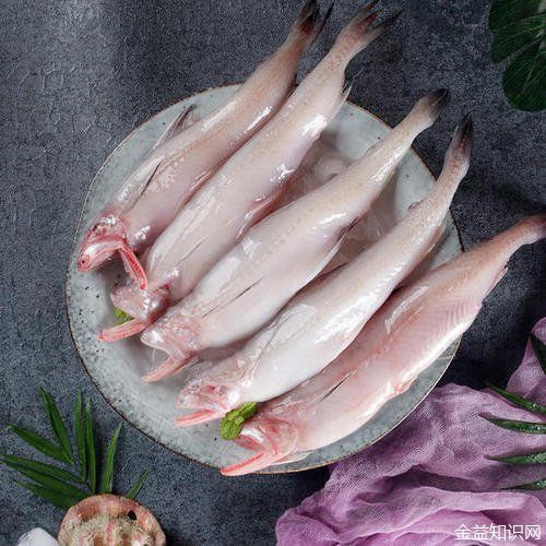 吃龙头鱼的好处：吃龙头鱼有哪些好处？ 龙鱼百科 第1张